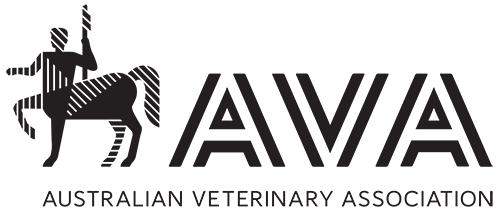 AVA Logo 500