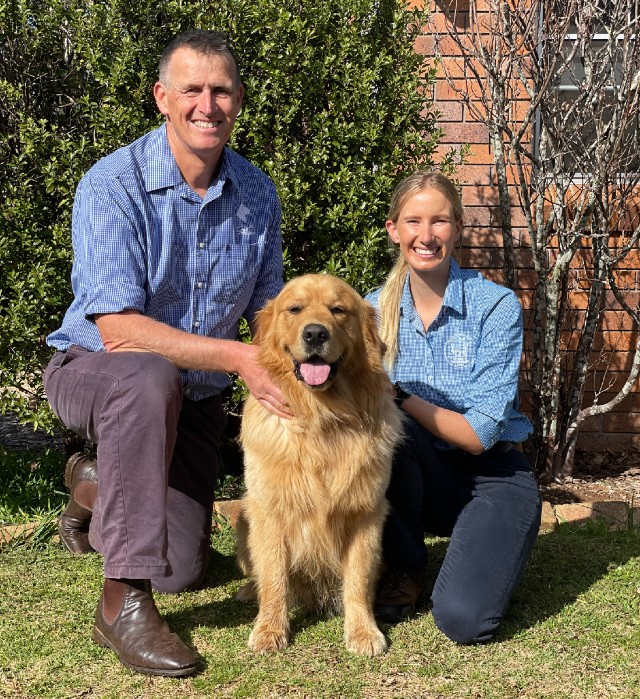 dorrigo vet clinic about