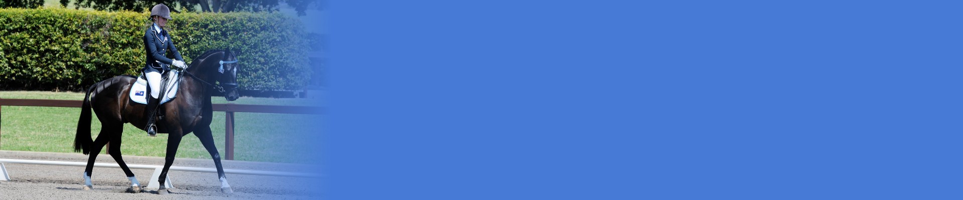 dorrigo-vet-equest-banner-02