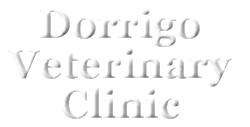 Dorrigo Vet Clinic